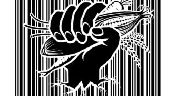 Monsanto under fire globally