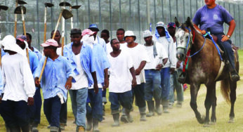 Solitary confinement abuse sparks hunger strike in Louisiana’s Angola Prison