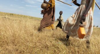 African famine: the role of sanctions