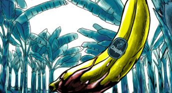 Lawsuit reveals Chiquita’s role in financing Colombian death squads