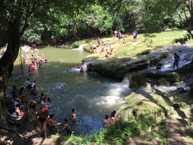 Reforestation:  Cuba leads the way