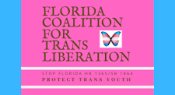 LGBTQ2S+ youth targeted again in Florida: Defeat HB241/SB582!