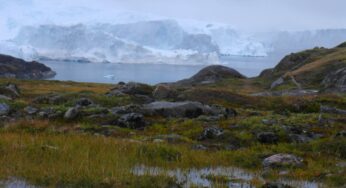 Rain in Greenland?