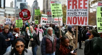 Nov. 29 protests in support of Palestinian liberation
