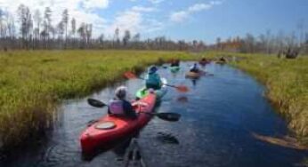Okefenokee Swamp threatened by proposed strip mine
