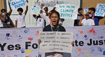 COP 27: greenwashing, repression, food crisis