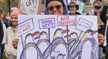 Tariffs, the stock market and the working class