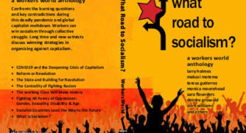 Just released! A new book: ‘What Road To Socialism?’