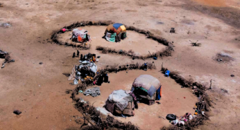 Famine fueled by greed stalks the world’s poor