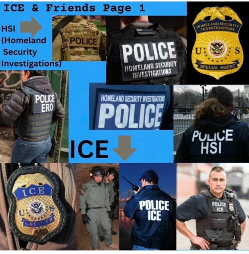 Resistance to ICE grows