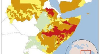 Famine in East Africa – hundreds of thousands threatened
