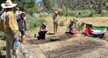 California activists plant Palestinian watermelon seeds