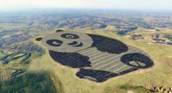 China leads world in renewable energy
