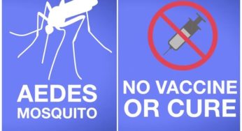 Gulf Coast faces spread of Zika